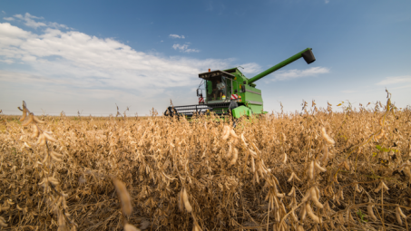 Nhu cầu sử dụng đậu tương toàn cầu có xu hướng giảm trong niên vụ 2021/2022