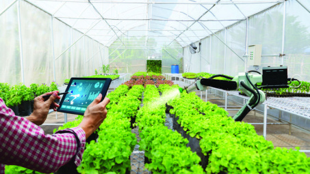 Nhu cầu cấp bách xây dựng cơ sở dữ liệu sản xuất hàng hóa