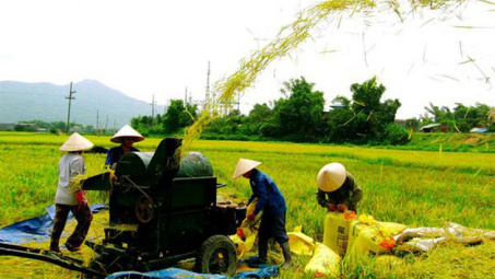 Nguyên tắc phân bổ nguồn vốn NSNN thực hiện Chương trình mục tiêu quốc gia