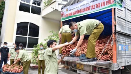 Quản lý thị trường kết nối, hỗ trợ tiêu thụ thành công hơn 5.000 tấn vải
