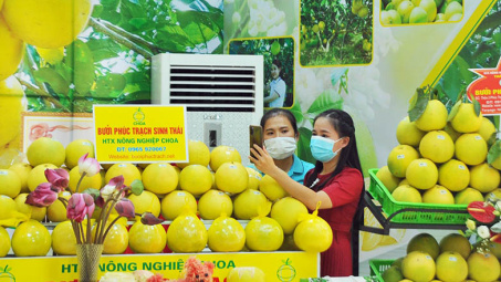 Bưởi Phúc Trạch có bảo hộ từ EU, lần đầu tiên mở bán trên 7 sàn thương mại điện tử