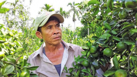 Hỗ trợ HTX huy động vốn sản xuất kinh doanh