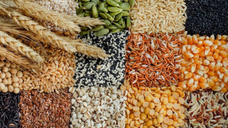 FAO: Nguồn cung lương thực thực phẩm thế giới dồi dào