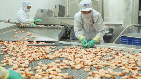 Xuất khẩu thủy sản sang Hà Lan tác động mạnh bởi EVFTA