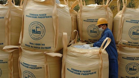 Phân bón Văn Điển: Nâng giá trị thương hiệu cây có múi vùng Thanh Nghệ Tĩnh