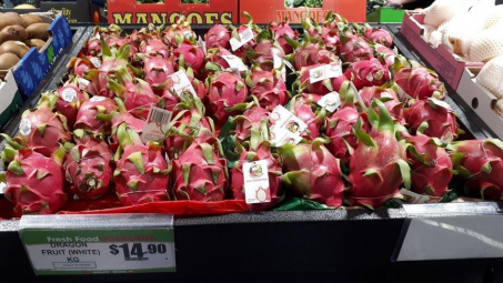 Được đánh giá 5 sao, thanh long Việt Nam rộng đường vào Úc