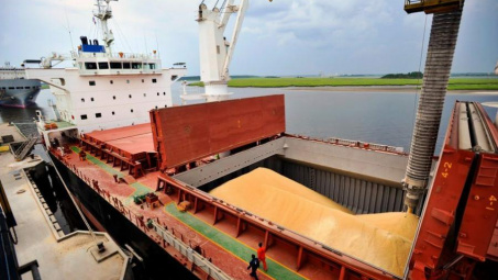 Giá khô đậu tương Nam Mỹ đạt mức cao kỷ lục khi nguồn cung suy giảm