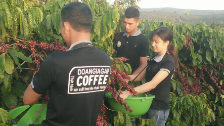 Đắk Nông: Tận dụng cơ hội xuất khẩu  nông sản khi thực hiện Hiệp định EVFTA