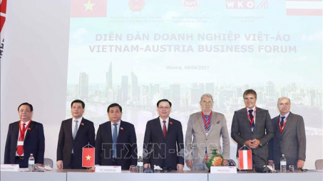 Gặp gỡ các doanh nghiệp hàng đầu của Áo, Bộ trưởng Nguyễn Hồng Diên chia sẻ nhiều thông tin về lợi thế, kết nối hợp tác kinh tế