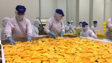 Linh hoạt tiếp cận đưa hàng Việt chinh phục thị trường Á-Âu