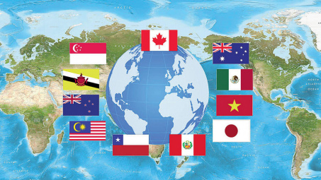 Sửa đổi hướng dẫn đấu thầu mua sắm theo Hiệp định CPTPP