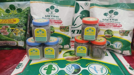 Lần đầu tiên phân bón xanh supe vi sinh Lâm Thao ra mắt thị trường