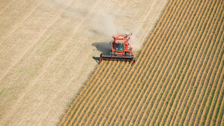 Giá các loại nông sản trên sàn CBOT chịu áp lực giảm