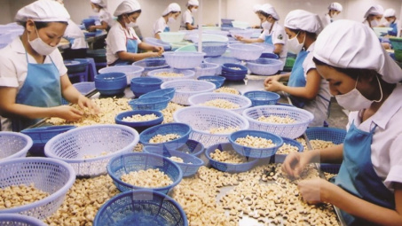 Xuất khẩu hạt điều sang EU ước tăng 15% về lượng năm 2022