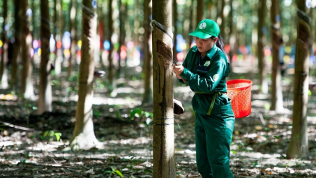 Xuất khẩu cao su Việt Nam năm 2021 vượt 3,2 tỷ USD, dự báo tiếp tục hưởng lợi trong năm 2022