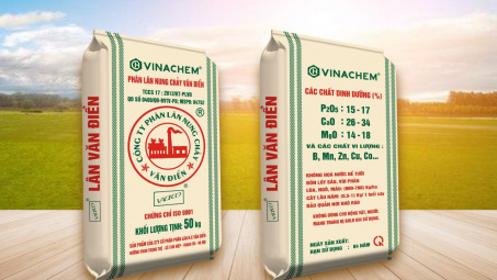 Phân bón Văn Điển: Sẵn sàng cho lúa vụ Xuân 2022 tại Thái Bình