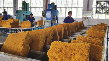 Việt Nam là thị trường cung cấp cao su lớn thứ 4 cho Hàn Quốc