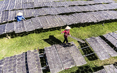 Làng nghề vào xuân