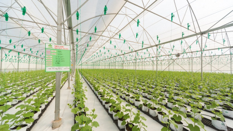 Thành lập Khu nông nghiệp ứng dụng công nghệ cao Quảng Ninh