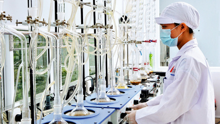 Những đơn hàng đầu năm mới đầy triển vọng