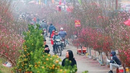 Hà Nội: Tổ chức 78 điểm chợ hoa Xuân phục vụ Tết Nguyên đán