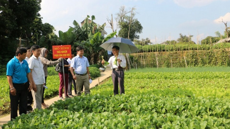 Huyện Điện Biên: Phát triển các sản phẩm OCOP và xây dựng nông thôn mới