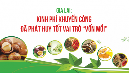 Gia Lai: Kinh phí khuyến công đã phát huy tốt vai trò “vốn mồi”