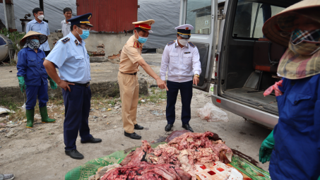 Phú Thọ tiêu hủy 172 kg nội tạng động vật đã bốc mùi hôi thối