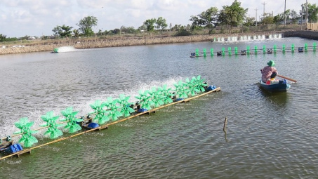 Trên 98% hộ đồng bào Khmer ở Trà Vinh được sử dụng điện lưới quốc gia