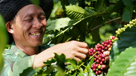 Câu chuyện từ mô hình NESCAFÉ Plan