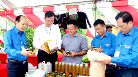 Hà Giang: 8 giải pháp nâng cao chất lượng hoạt động khuyến công