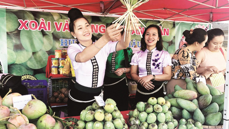 Phát triển thương mại miền núi, hải đảo: Một kế hoạch tổng thể, công phu