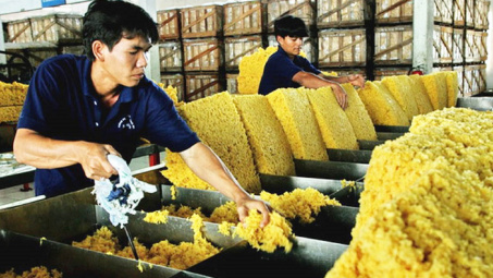 Xuất khẩu cao su 9 tháng tăng cả về lượng và trị giá