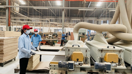 Các nước CPTPP cam kết thuế nhập khẩu với Việt Nam thế nào?