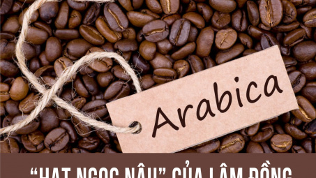 Cà phê Arabica: “Hạt ngọc nâu” của Lâm Đồng