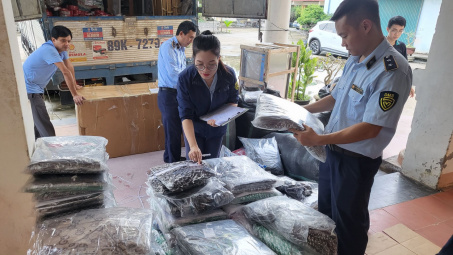 Quảng Bình: Thu giữ số lượng lớn áo quần trẻ em giả mạo nhãn hiệu và không rõ nguồn gốc, xuất xứ