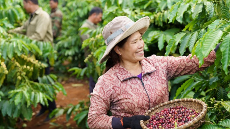 Nestlé và hành trình nông nghiệp tái sinh ứng phó với biến đổi khí hậu