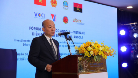 Việt Nam - Angola: Xúc tiến phát triển đầu tư, thương mại, du lịch