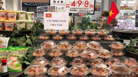 Thúc đẩy doanh nghiệp tham gia trực tiếp các mạng phân phối nước ngoài