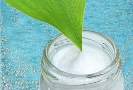 Khảo sát một số yếu tố ảnh hưởng đến hiệu suất dầu dừa thu được bằng phương pháp enzyme cố định