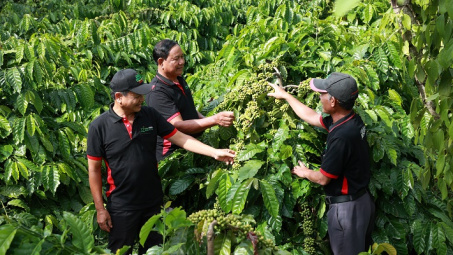 Nestlé chia sẻ giải pháp xuất khẩu sản phẩm Việt ra thế giới