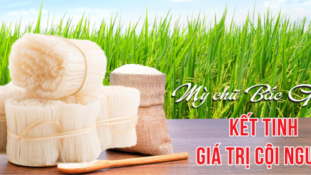 Mỳ Chũ Bắc Giang: Kết tinh giá trị cội nguồn