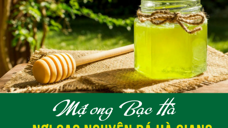 Mật ong Bạc Hà nơi cao nguyên đá Hà Giang
