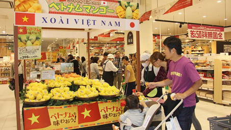 Thúc đẩy doanh nghiệp tham gia trực tiếp các mạng phân phối nước ngoài