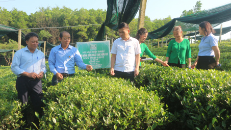 Sở Nông nghiệp và PTNT tỉnh Thái Nguyên: Duy trì và phục hồi chuỗi sản xuất cung ứng nông sản