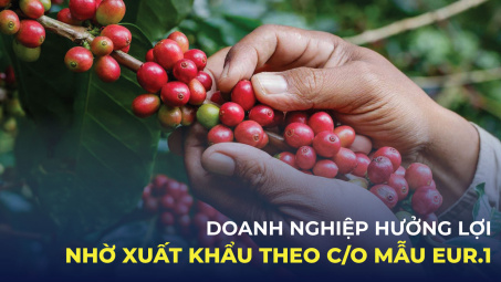 Doanh nghiệp hưởng lợi nhờ xuất khẩu theo C/O mẫu EUR.1
