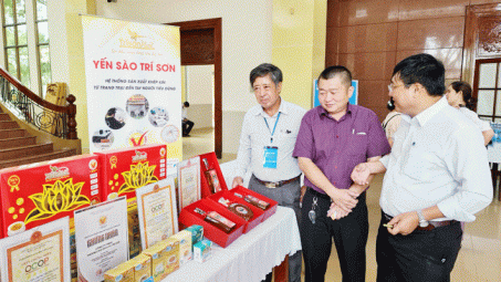 Sở Công Thương Tiền Giang: Hoạt động công nghiệp và thương mại đạt nhiều kết quả tích cực