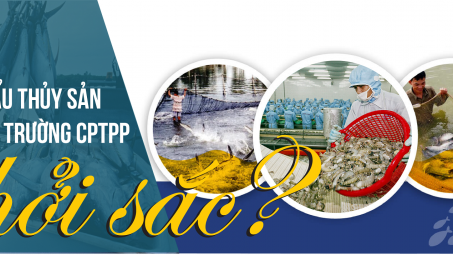 [E-Magazine] Vì sao xuất khẩu thủy sản sang thị trường CPTPP khởi sắc?