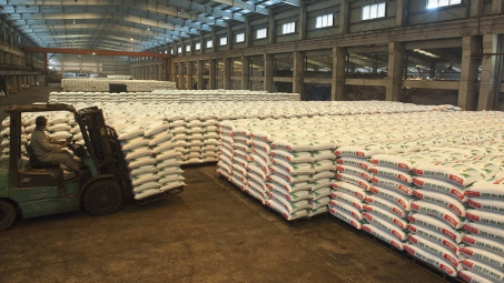 Hồi sinh thương hiệu Đạm Hà Bắc