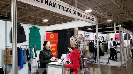 Kết nối sản xuất và chuỗi cung ứng hàng dệt may với thị trường Việt Nam